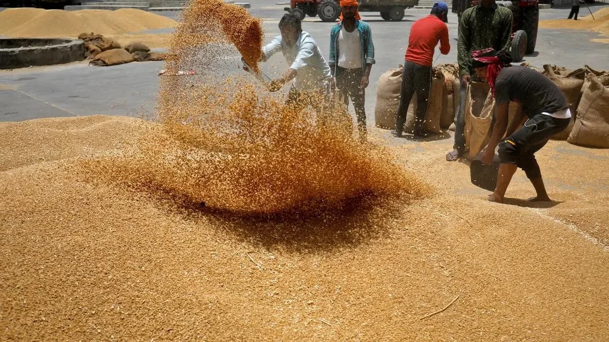 India to export 2 mt wheat as global agrochemicals market hits $406.2B