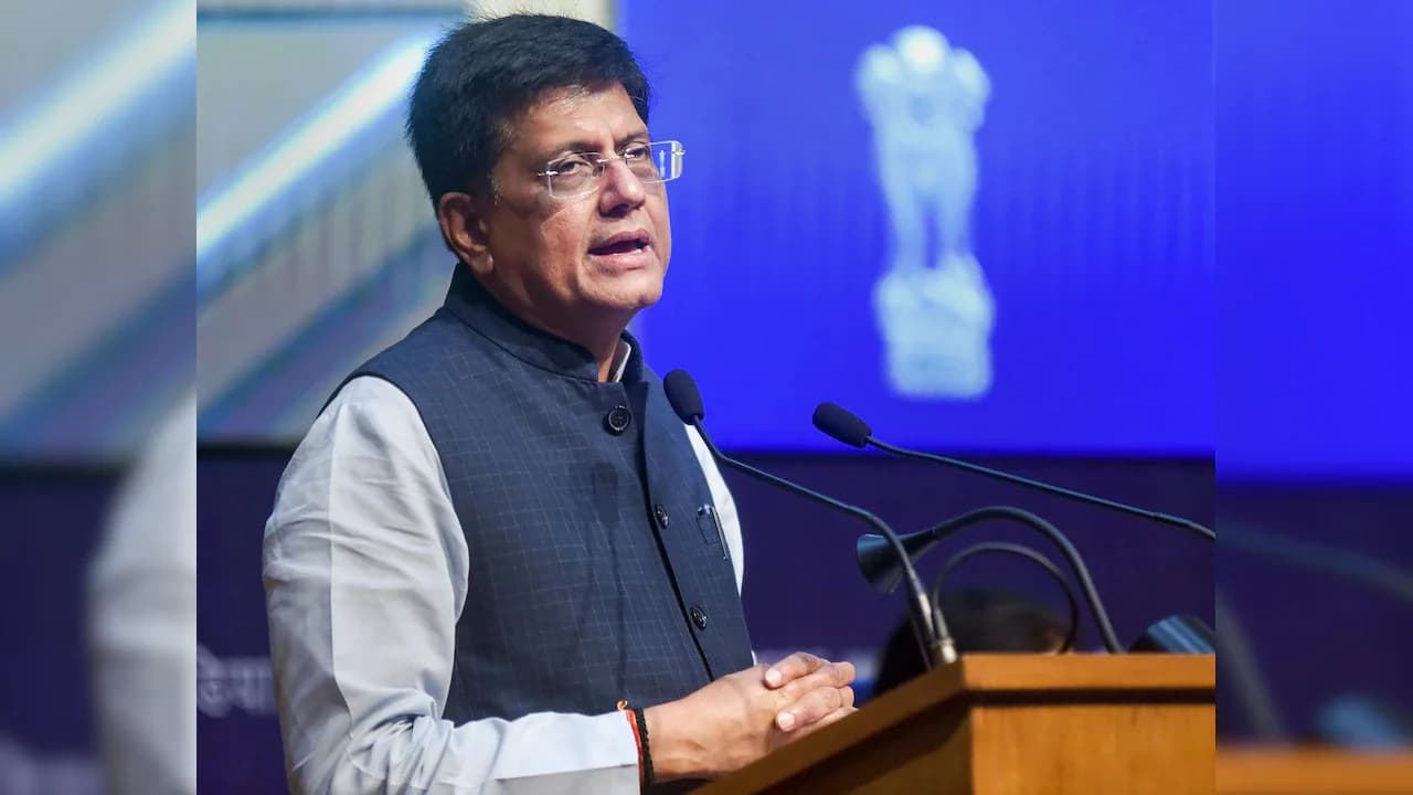 India-US Trade Deal Awaits Tariff Advantage: Goyal
