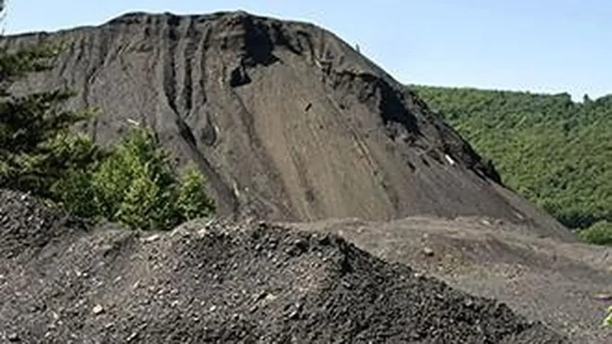 Indian activated carbon industry faces global price pressure amid growth outlook