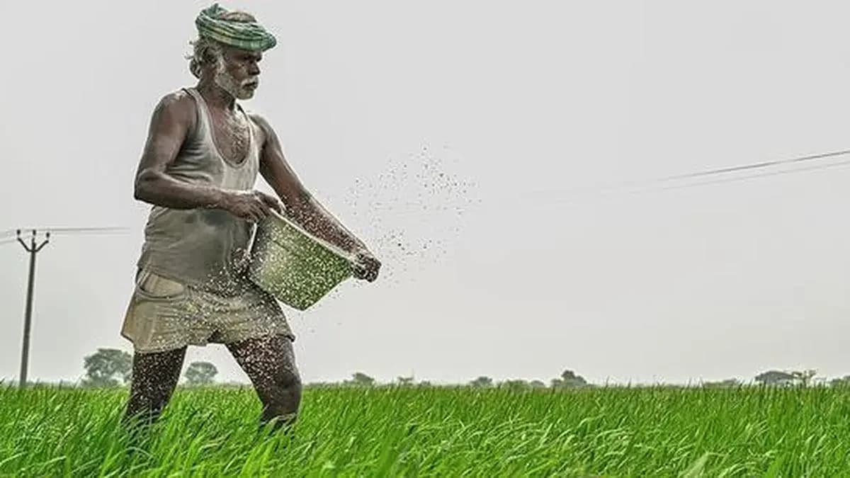 Indian farmers favor urea over other fertilizers amid pricing gap
