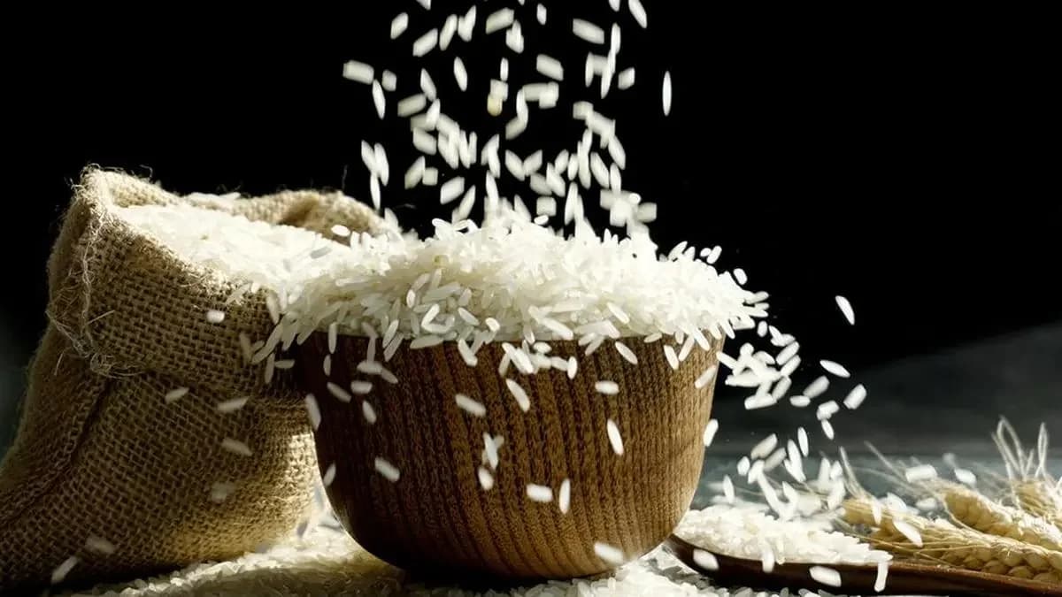Indian rice exports drop 10% in value despite 6.5% volume growth