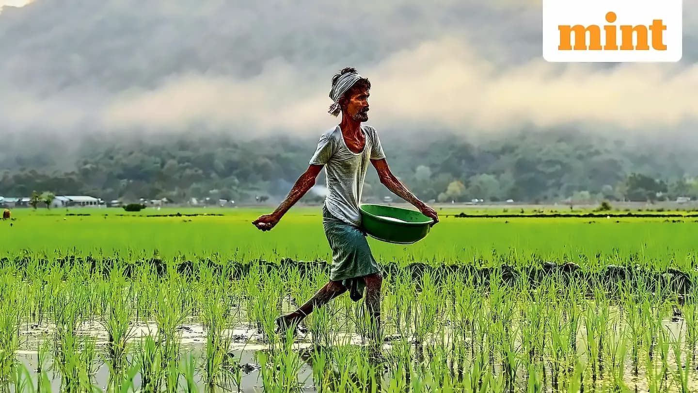 India secures 1.7 million tonnes urea imports at ₹3.32 trillion subsidy bill