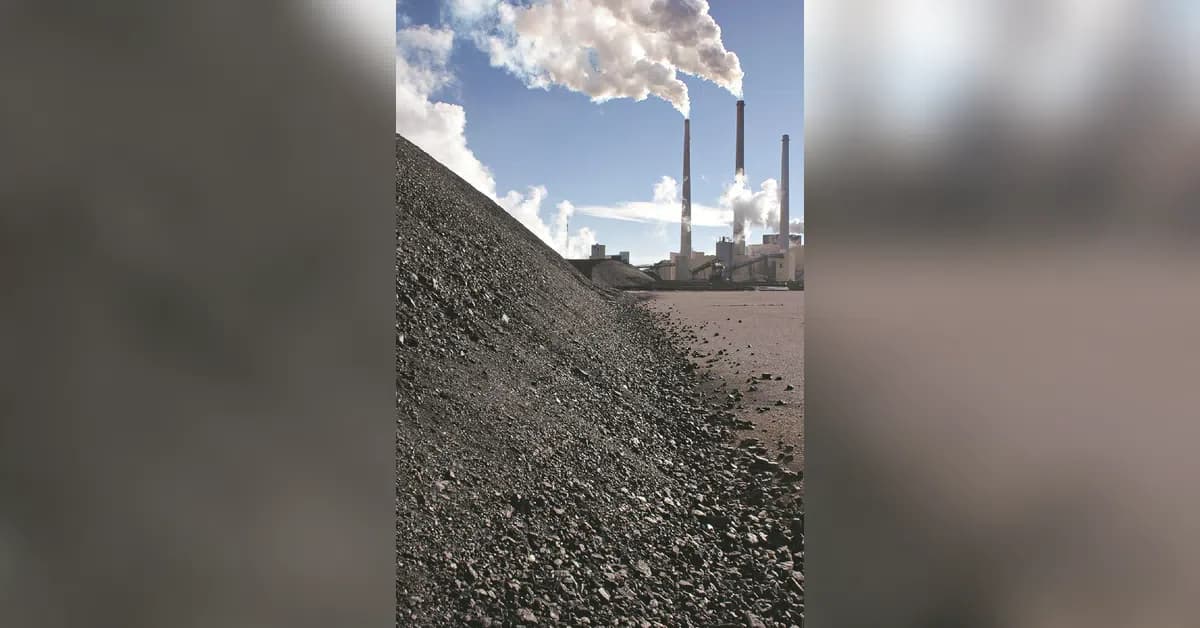 India's coal imports drop 13% in April, power sector down 25%