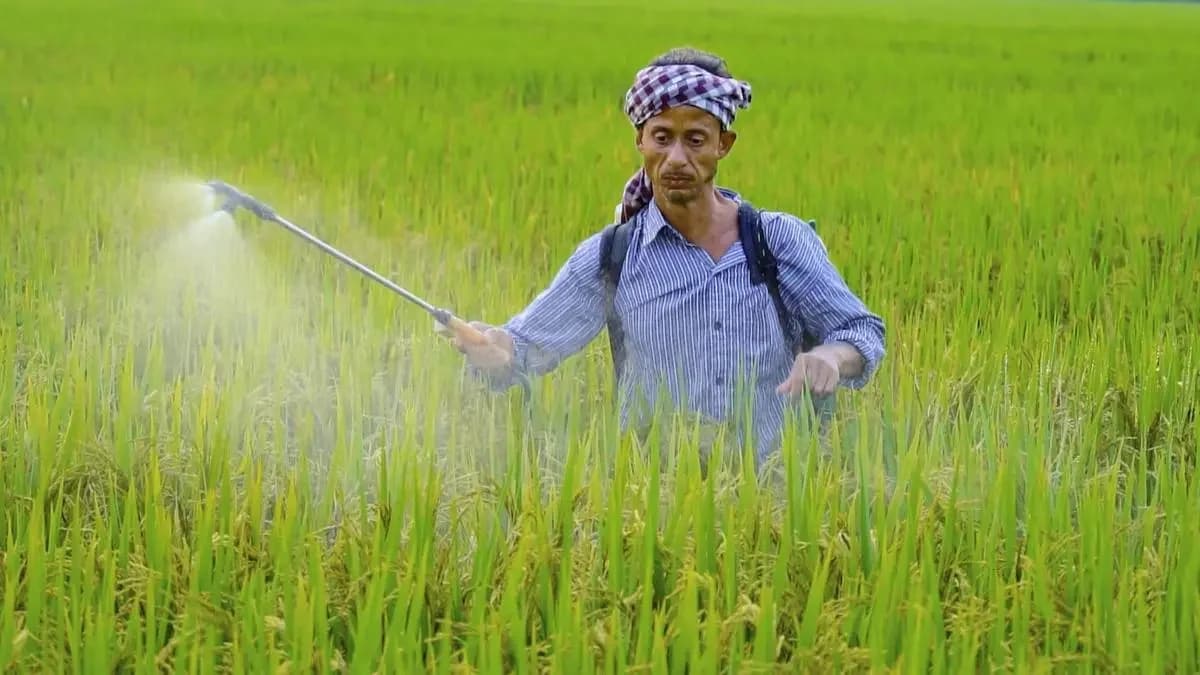 India's fertilizer production drops 24.6% amid Iran war crisis
