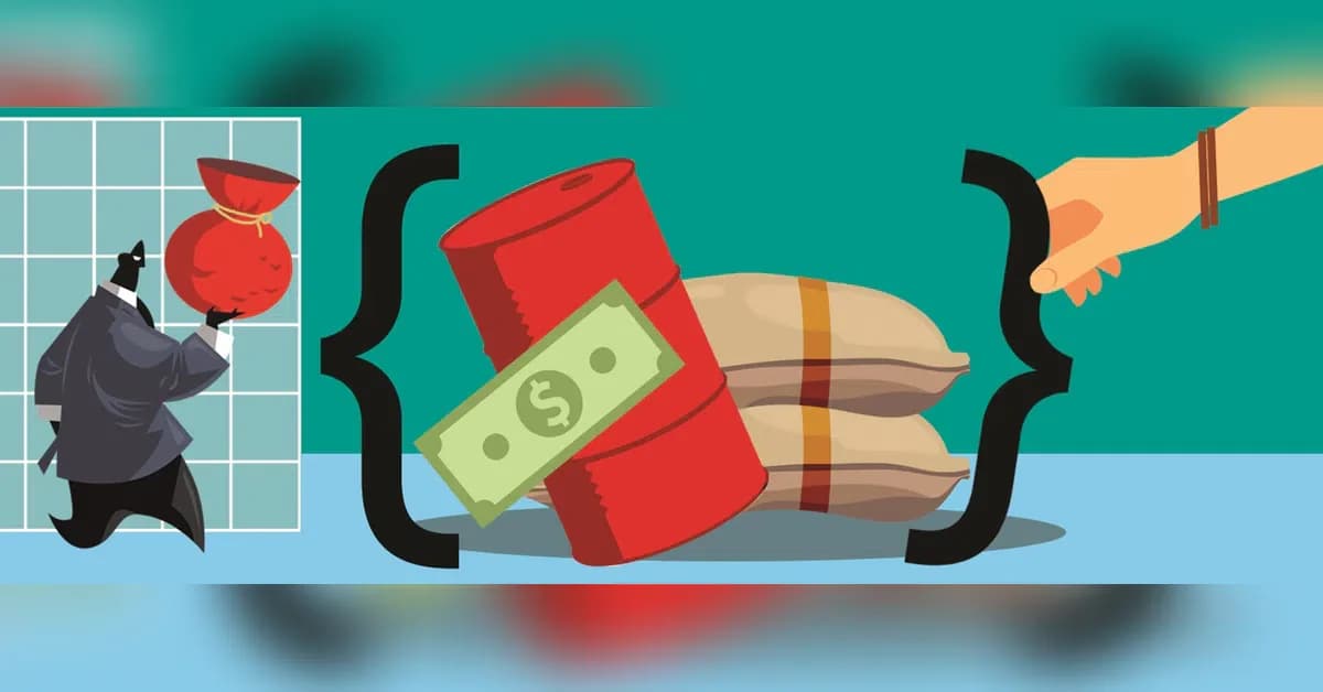 India's fiscal discipline eroded by founder supremacy, warns expert