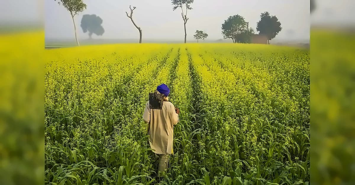 India's food production surges 7x as El Nino concerns mount