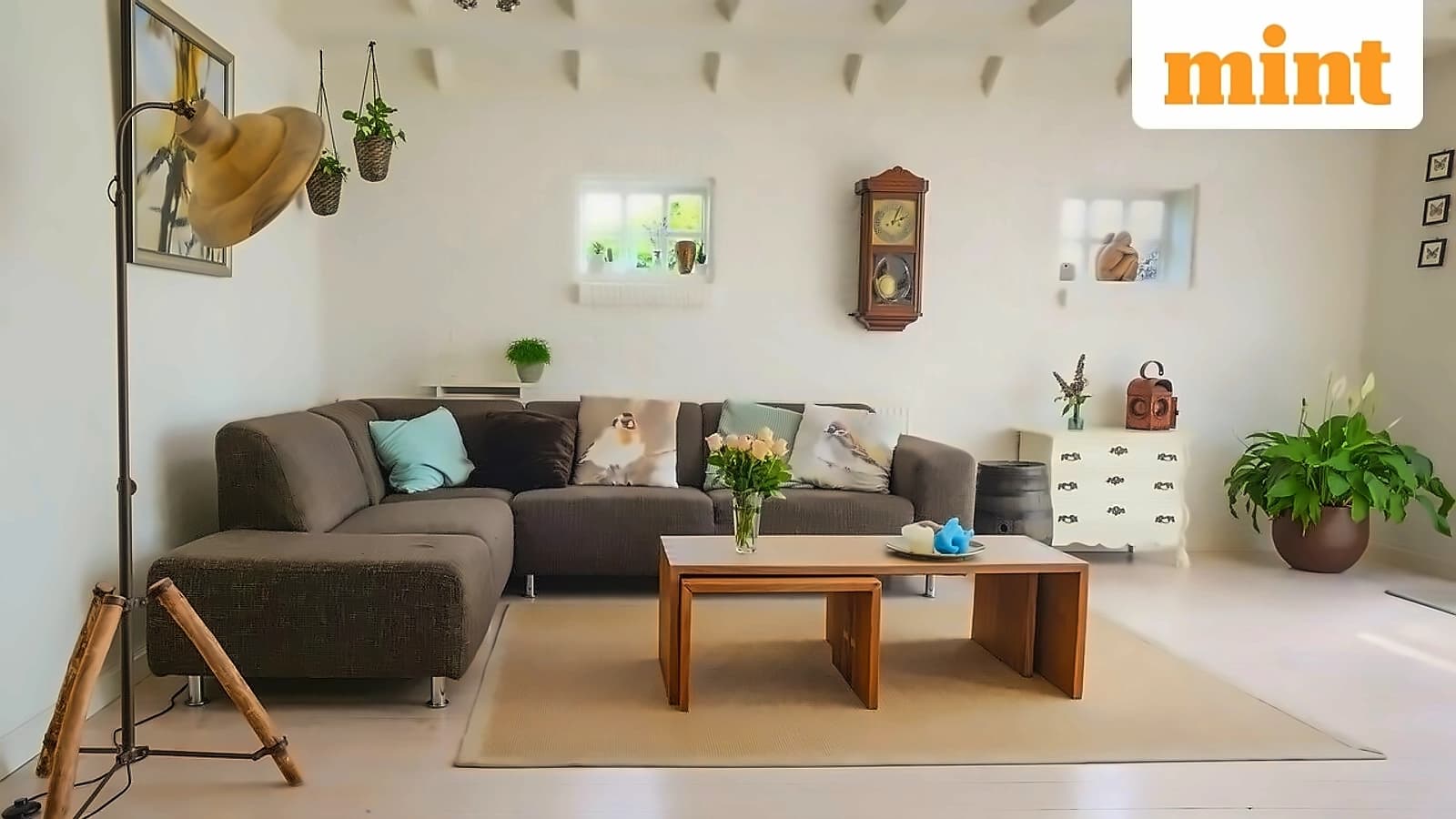 India's furniture makers pivot to local sourcing amid import chaos