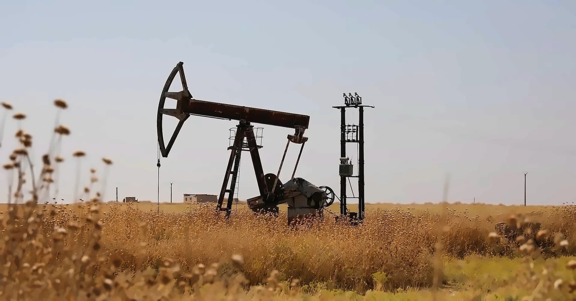 India's liquid fuel consumption to decline marginally in 2026 amid Middle East supply disruptions