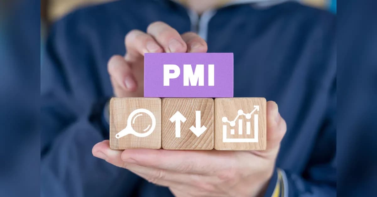 India's Manufacturing PMI Hits 3-Month High at 55.0 in May