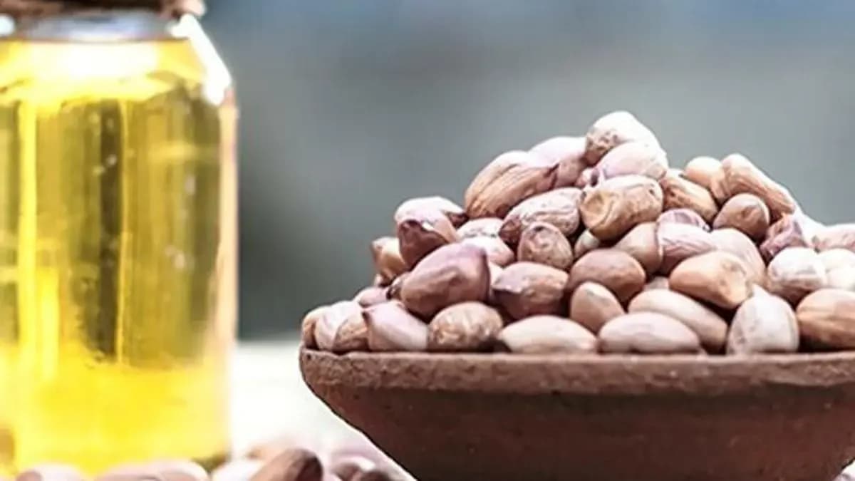 India's edible oil imports rise 3% in FY26 on Nepal duty-free surge