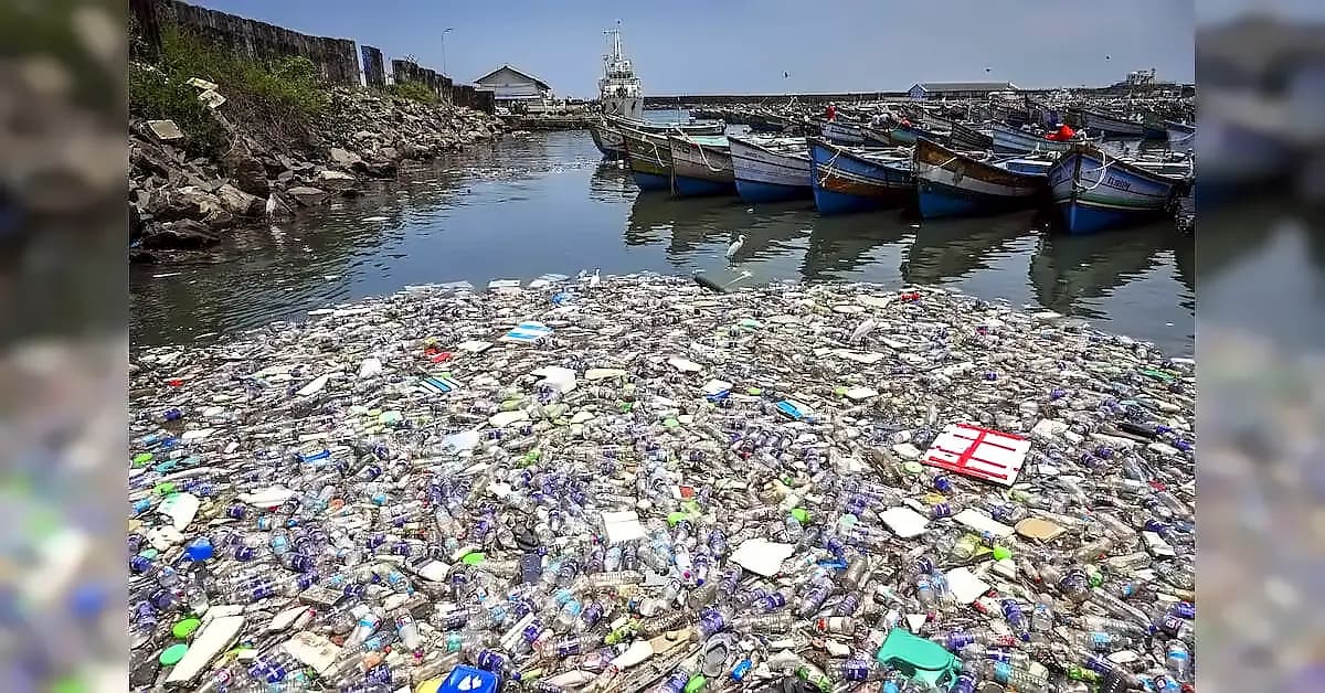 India's plastic waste regime faces transparency challenges