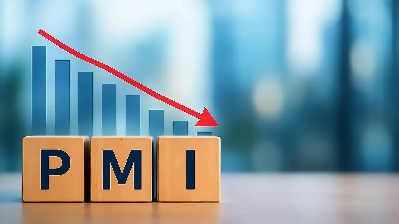 India's manufacturing PMI hits 5-year low at 53.5 in July