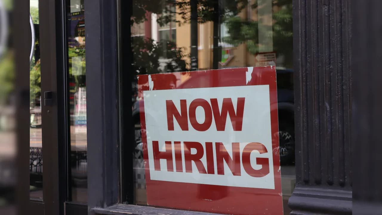 India's Unemployment Rate Hits 5-Month Low at 5% in August