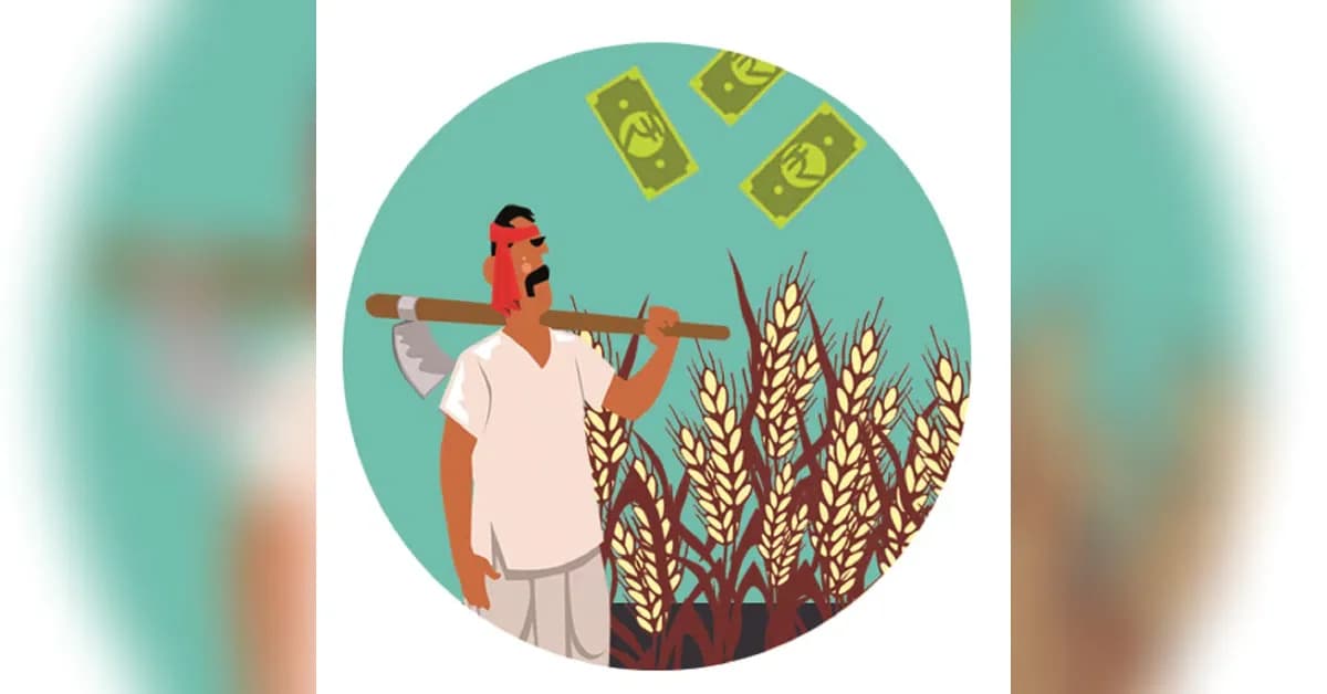 India's foodgrain production hits record 376.56 million tonnes amid heatwave disruptions