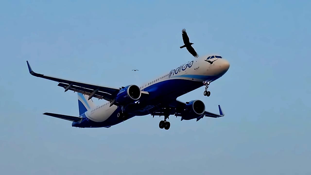 IndiGo suspends Manchester flights from Aug 31 amid cost pressures