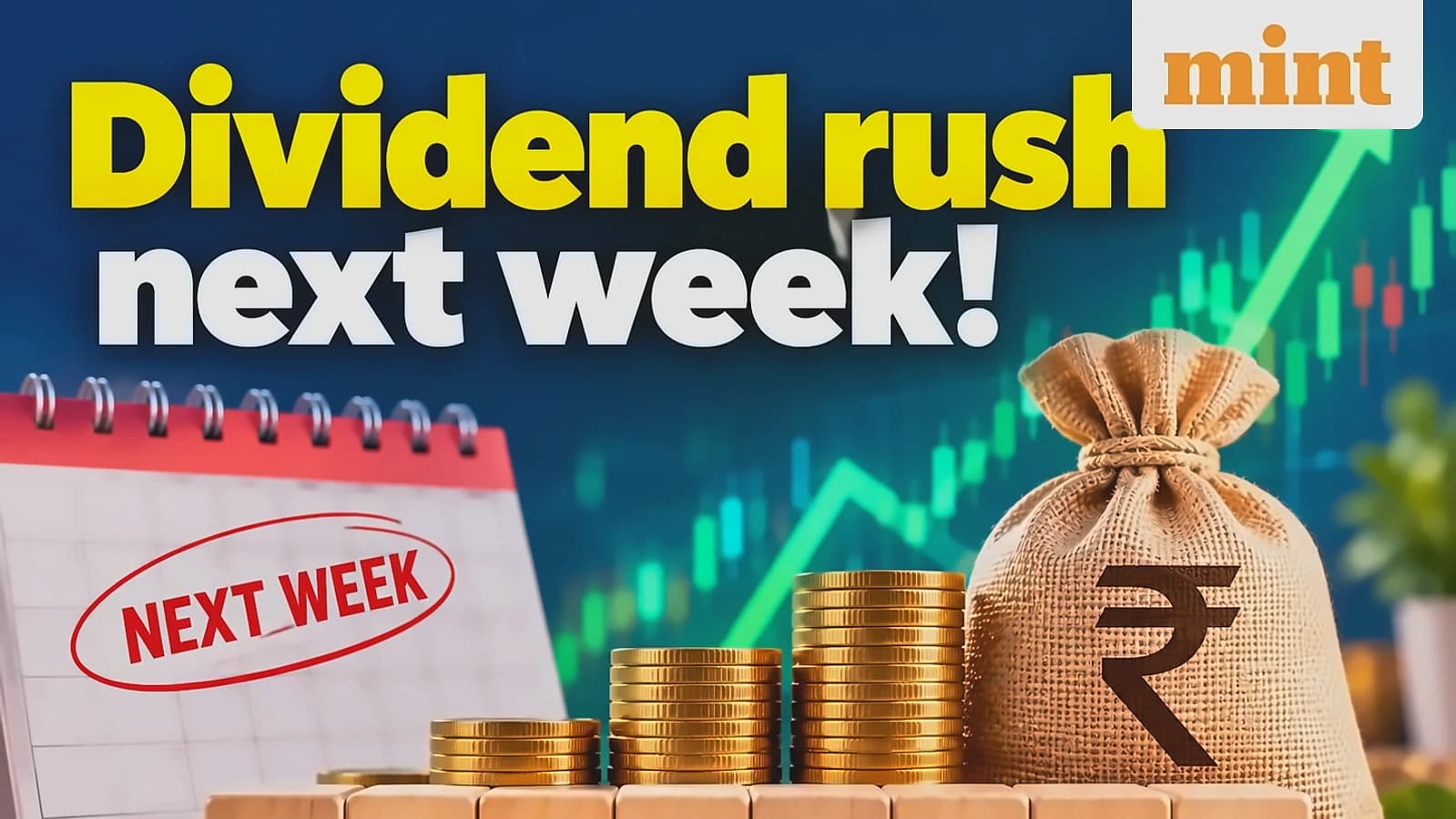 Infosys, Colgate-Palmolive among 11 firms in dividend focus