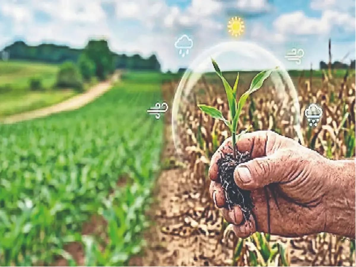 Insurers face higher crop claims in Maharashtra, Karnataka, AP