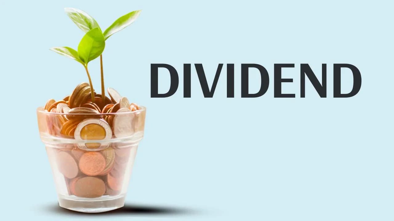 IGI Limited Declares ₹2.55 Interim Dividend for FY 2026-27