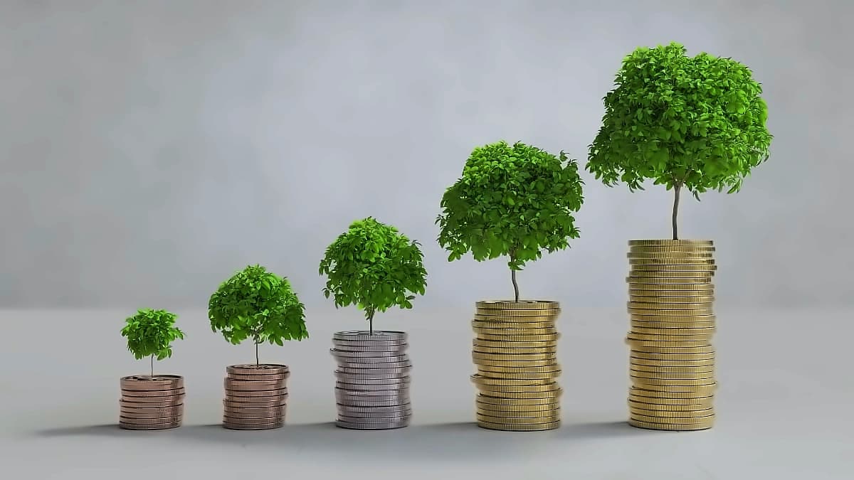 Investment Guide: Stocks, Gold, PPF or SIPs for Beginners