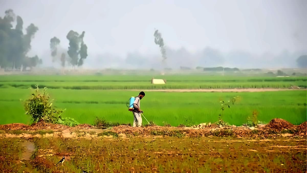 Iran War Threatens 10 Billion Meals Weekly as Fertiliser Crisis Deepens