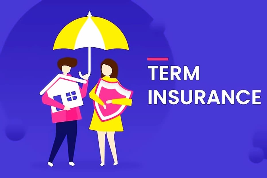 IRDAI's Saral Jeevan Bima vs Regular Term Insurance Plans