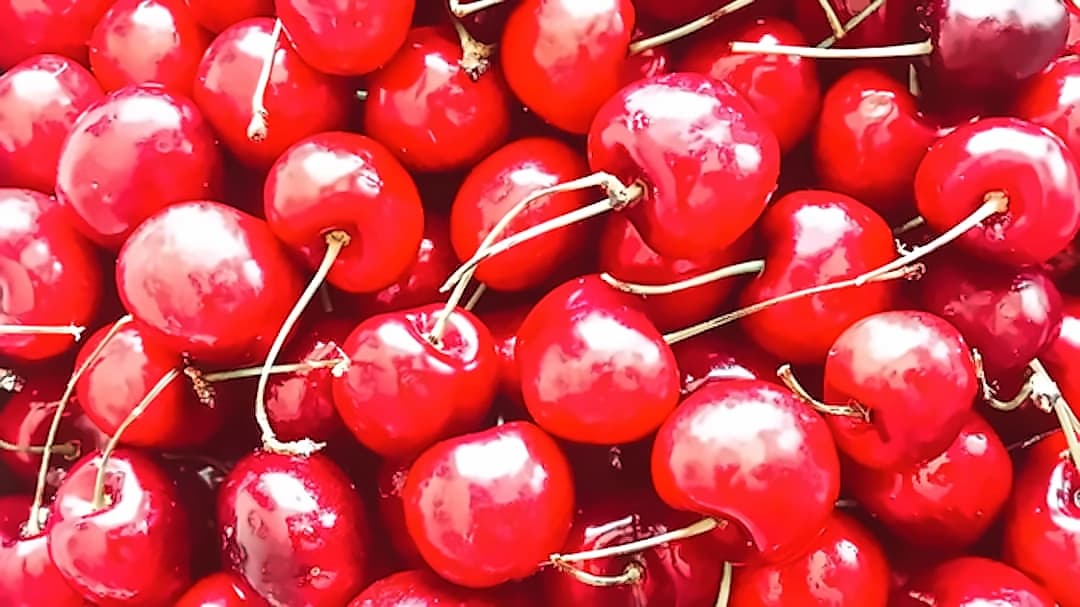 J&K Cherry Express: Railways Dispatches 12 Tonnes to Mumbai