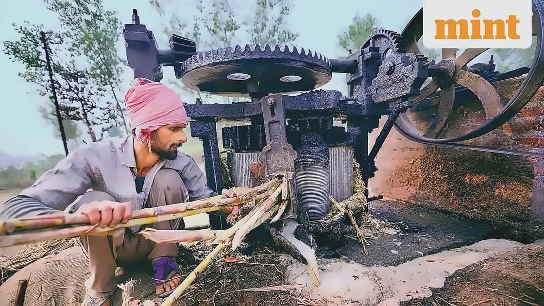 Jaggery prices surge 10% amid sugar shortage and health trend