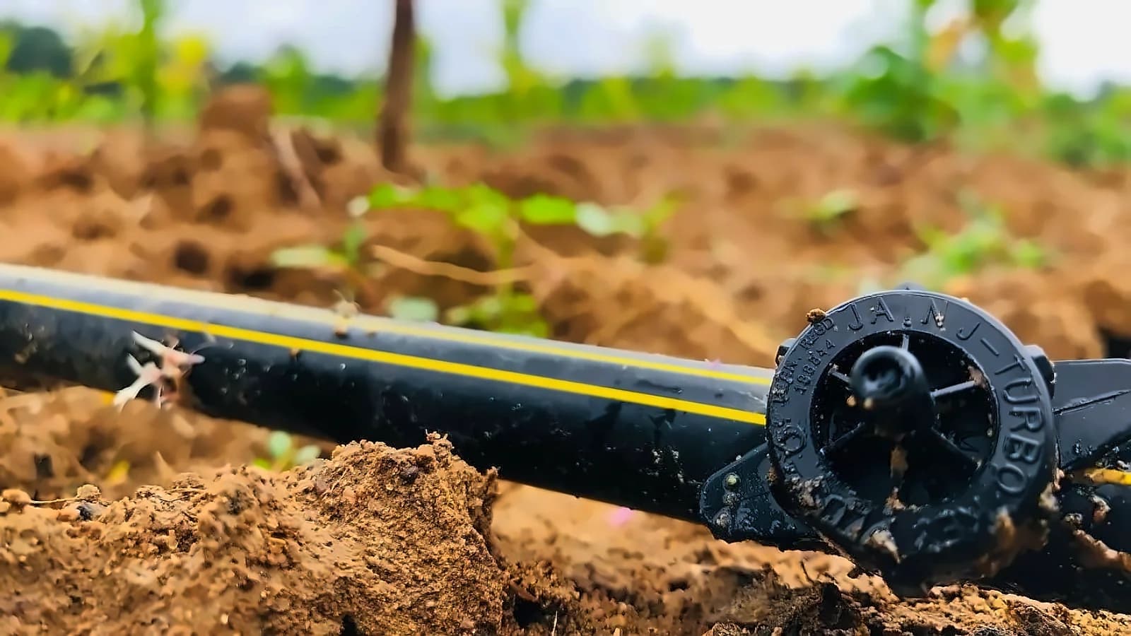 Jain Irrigation shares surge 5% on ₹118 cr Maharashtra solar order