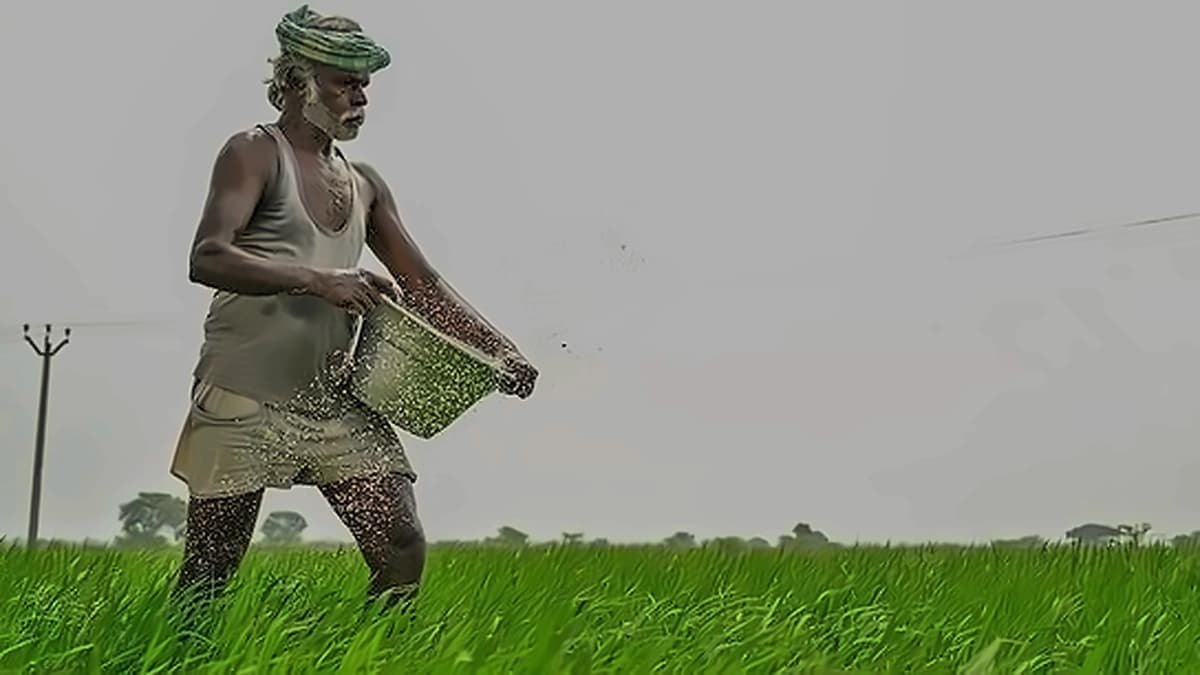 Kharif harvest outlook: Strong prices expected despite El Niño impact