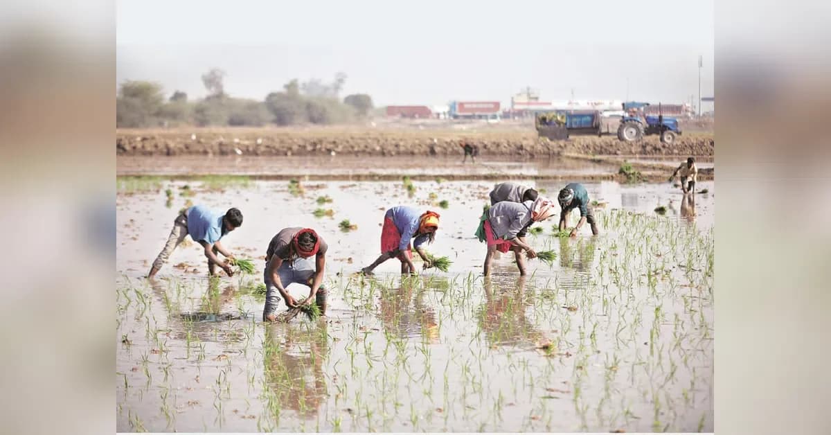 Kharif sowing deficit narrows to 48% as Chouhan calls for productivity boost