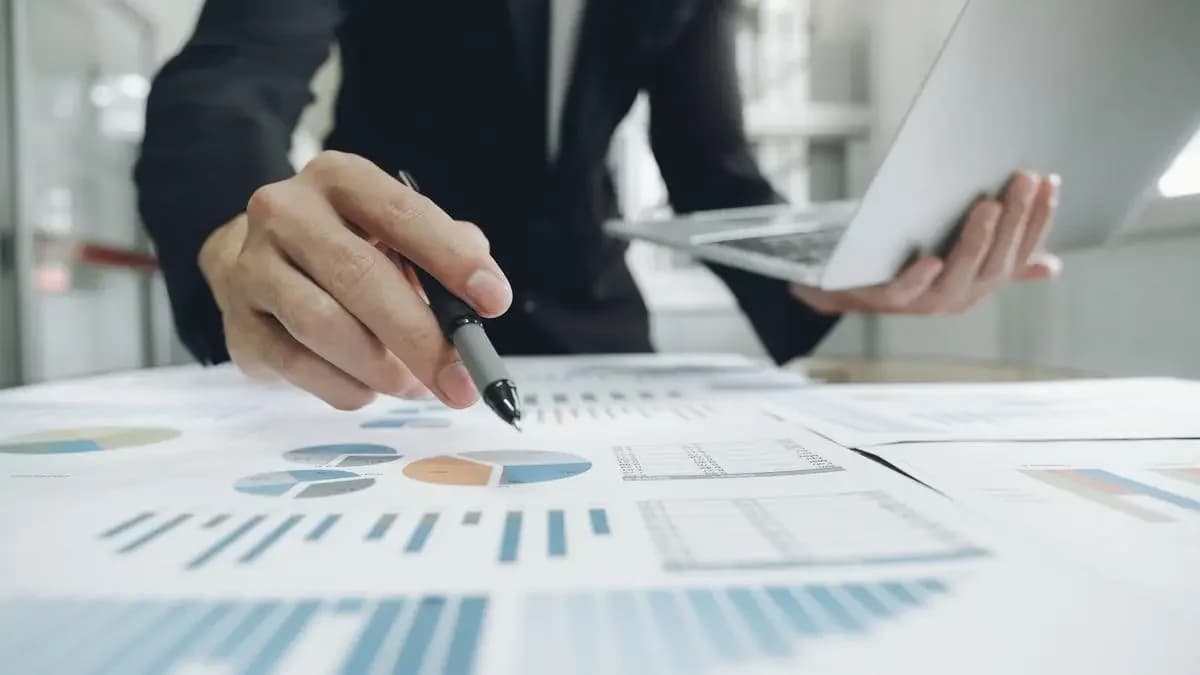 Large caps attractive as valuations ease: DSP MF outlook