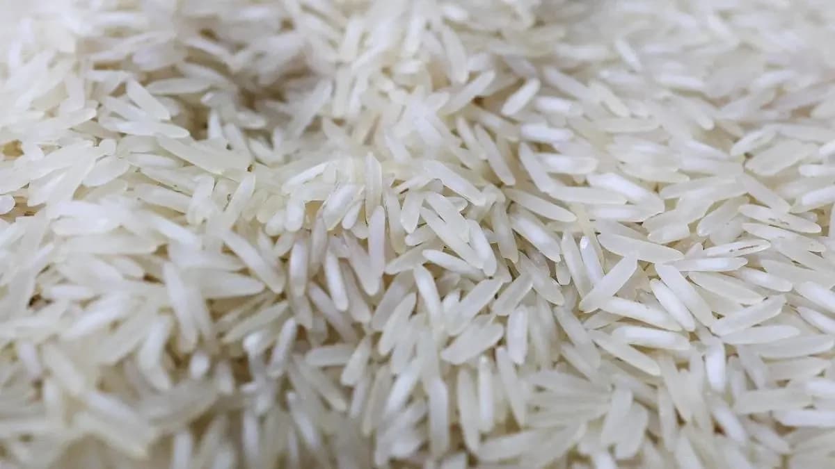 LT Foods launches premium saffron-infused basmati rice