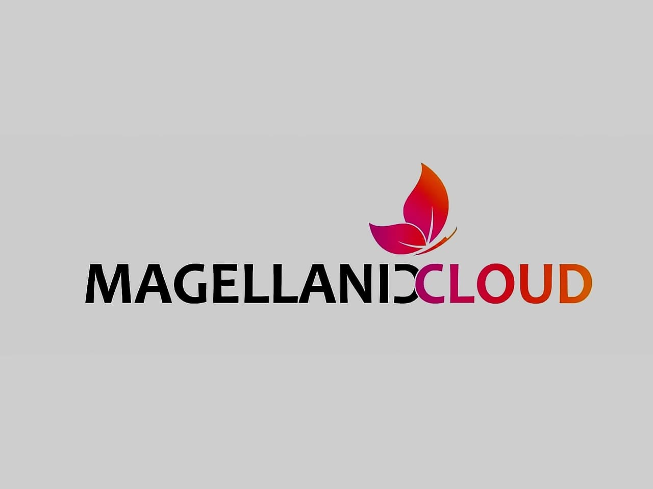 Magellanic Cloud Secures Third DFCCIL Order Worth ₹3.29 Crore