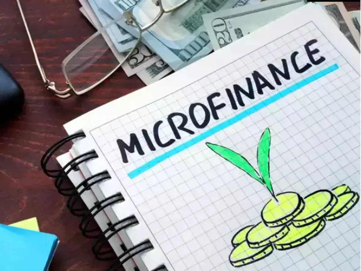 Microfinance sector turns corner with 3% portfolio growth amid monsoon risks