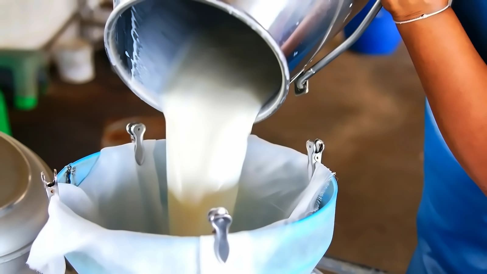 Milk prices to stay elevated during flush season: Experts