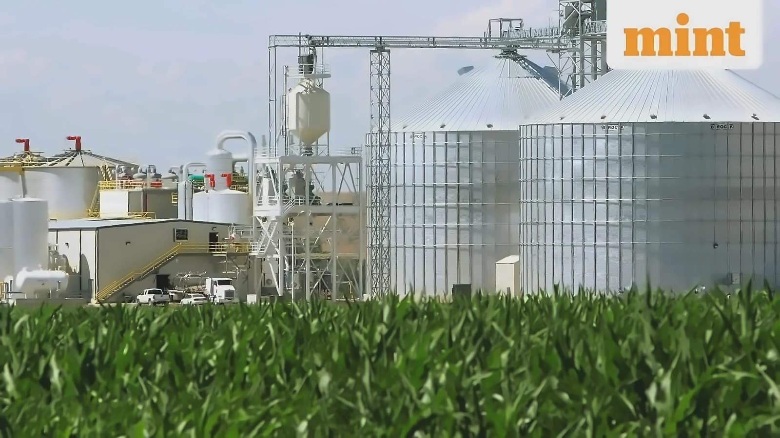 Modi Naturals secures ₹140 cr ethanol order, stock hits ₹380