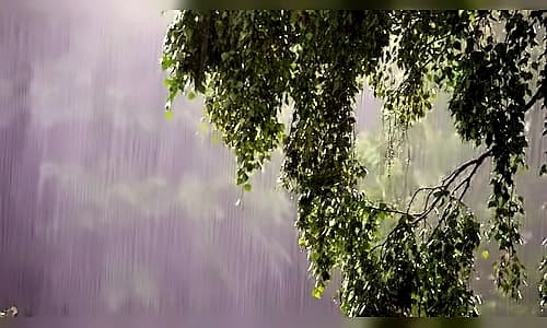 Mumbai monsoon officially declared on June 23 after 14-day delay