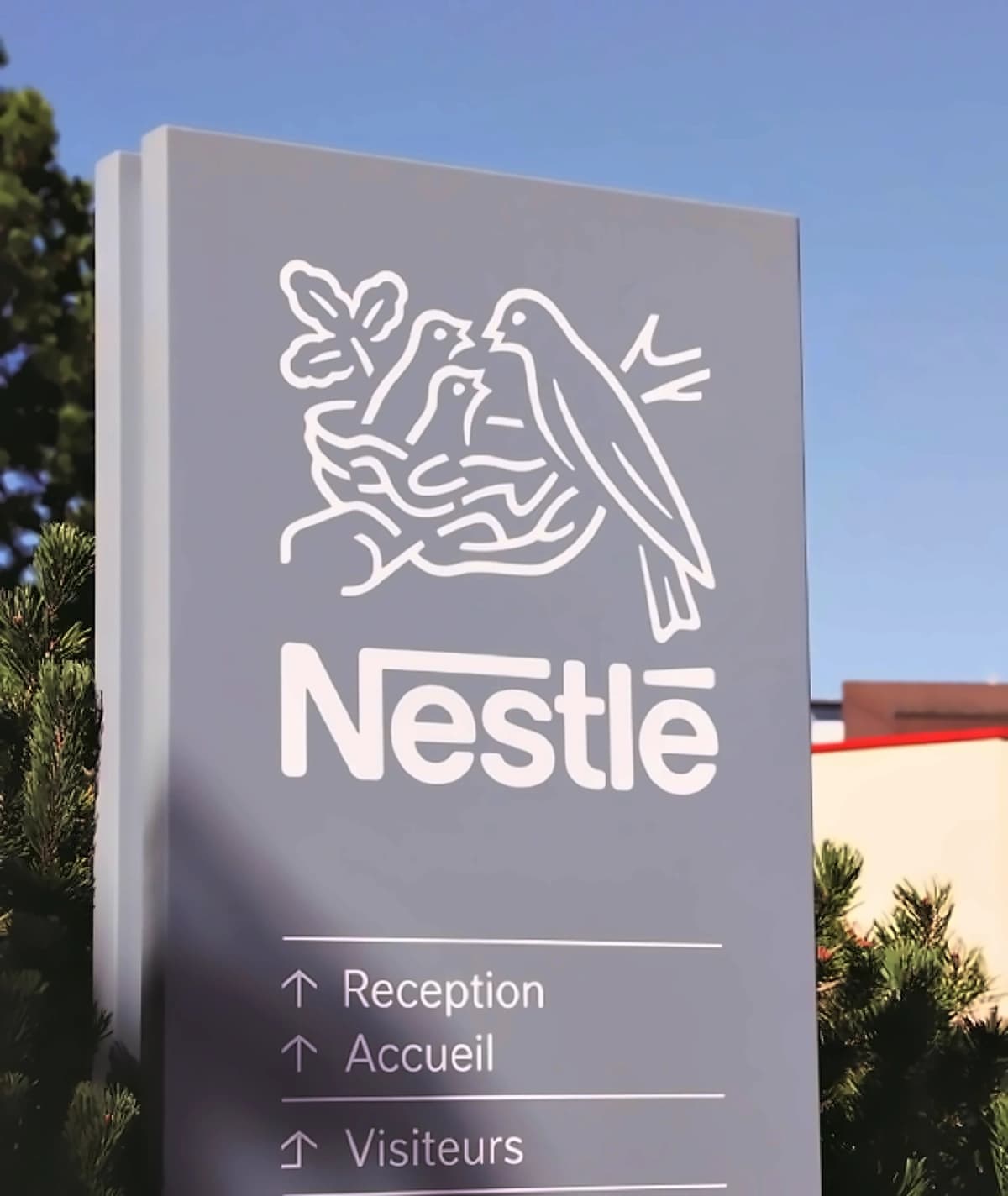 Nestle India Q2 results: Profit jumps 36%, shares tank 9% on inflation fears