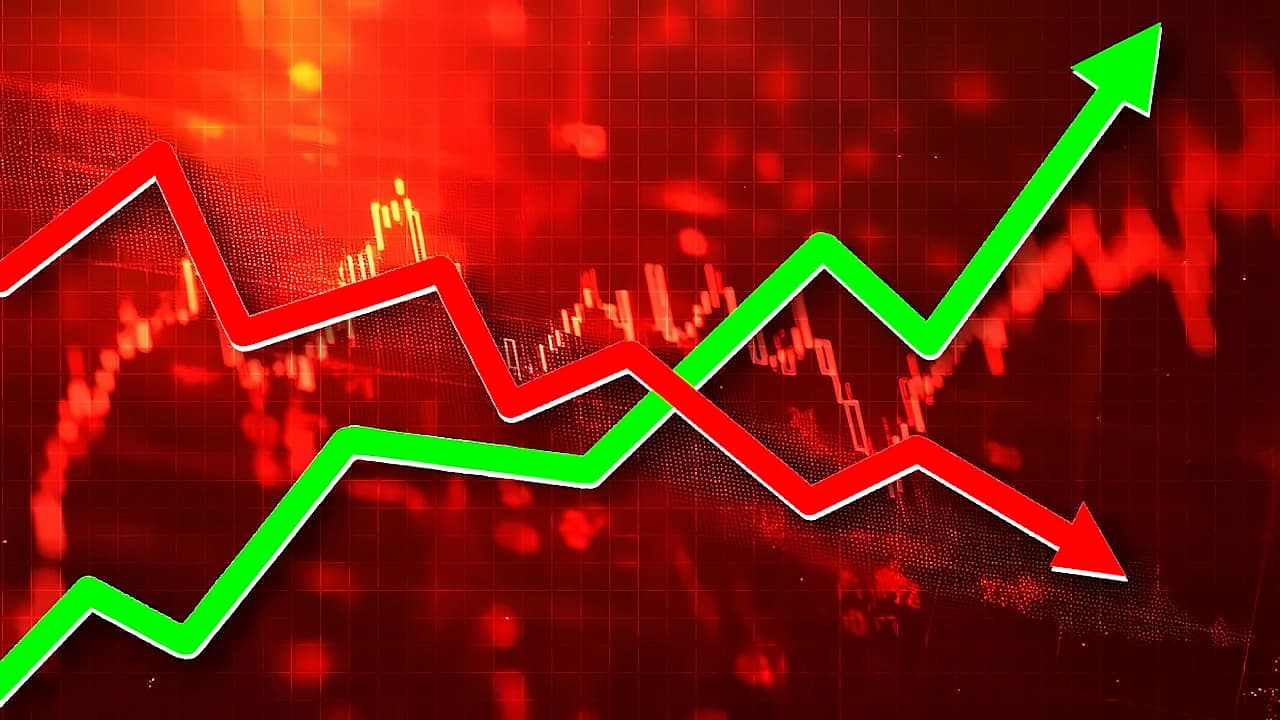 Nifty Rebounds After 7-Session Loss Streak, Reclaims Key Levels