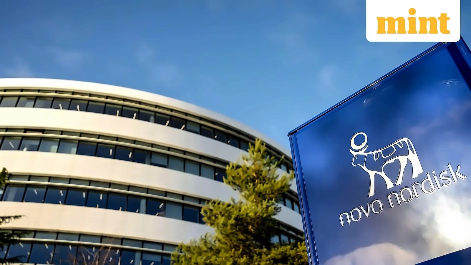 Novo Nordisk Sues Eli Lilly Over Weight-Loss Drug Advertising