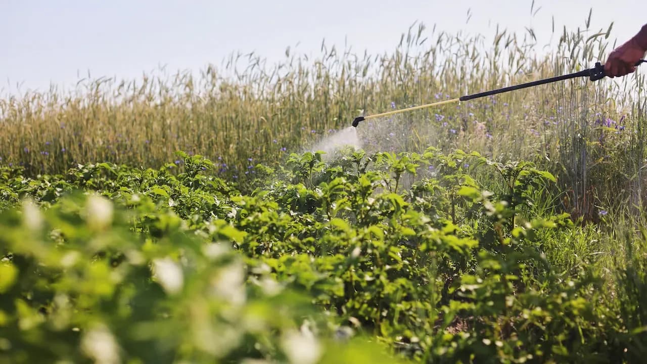 Odisha Cancels 96 Fertiliser Dealer Licences for Unfair Practices