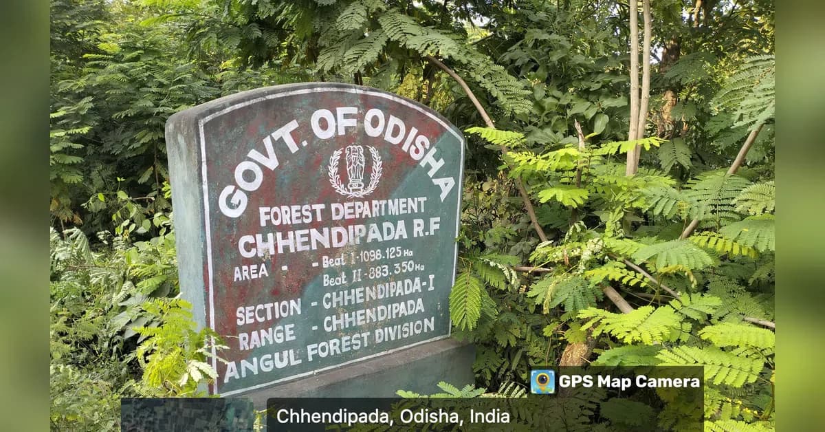 Odisha coal mine proposal to cut 332K trees sparks environmental concerns