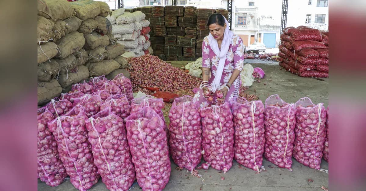 Onion growers urge Maharashtra govt to prioritise rain-hit farmers