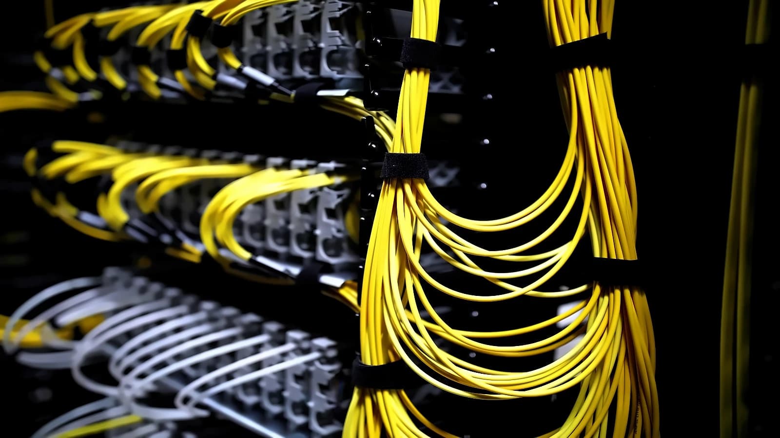 Orient Technologies surges 12% on ₹76.2 crore NPCI server order