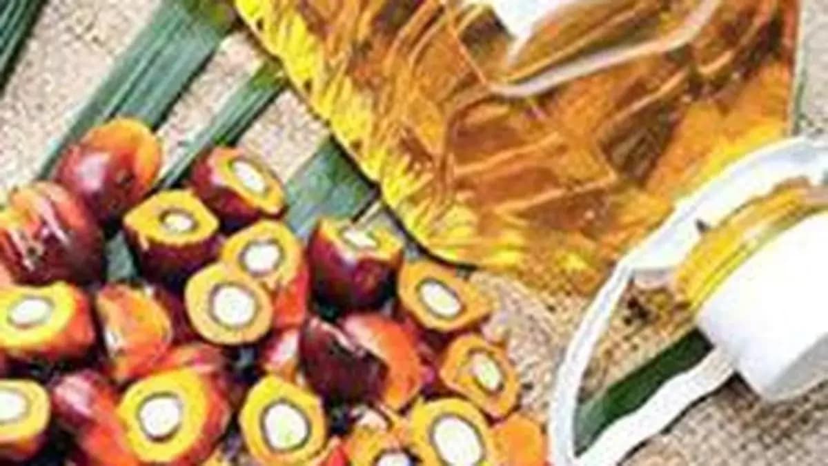 Palm oil prices surge on supply tightness, El Niño impact