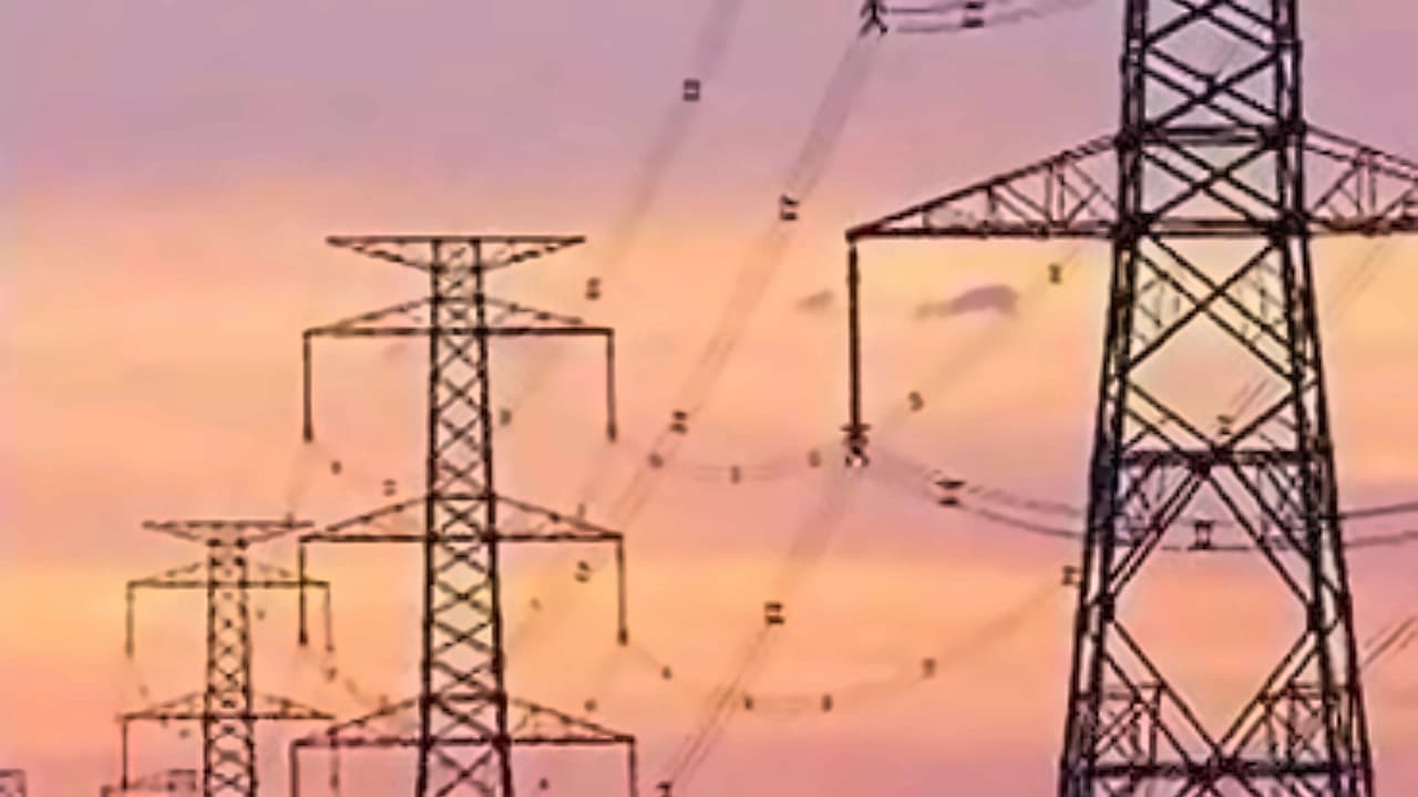 Parliament panel discusses grid stability amid renewable surge