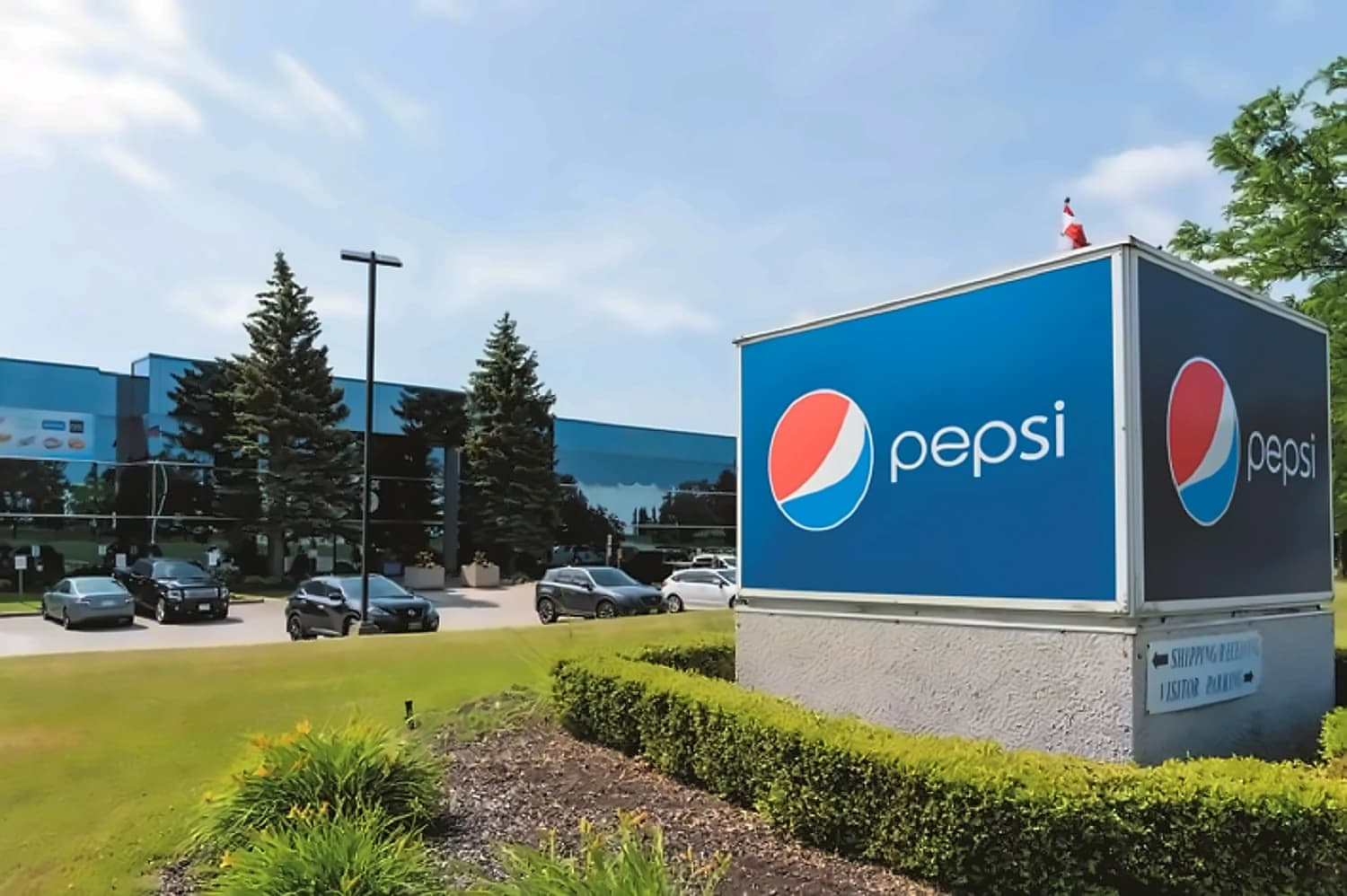 PepsiCo Elects Joaquin Duato to Board, India Growth Continues