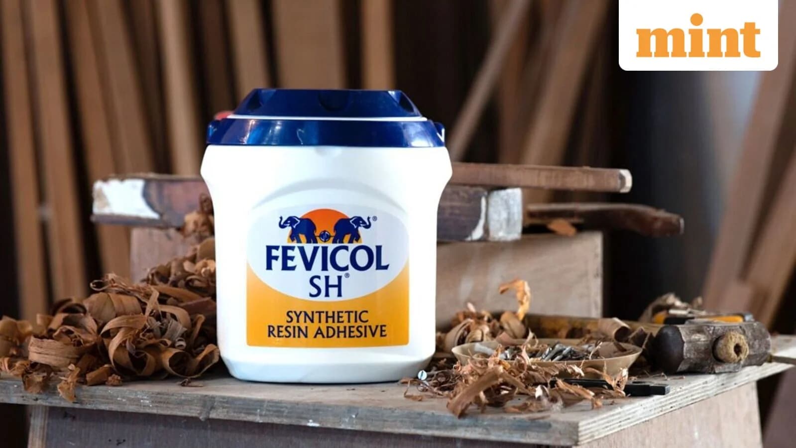 Pidilite Industries faces margin pressure amid premium valuations