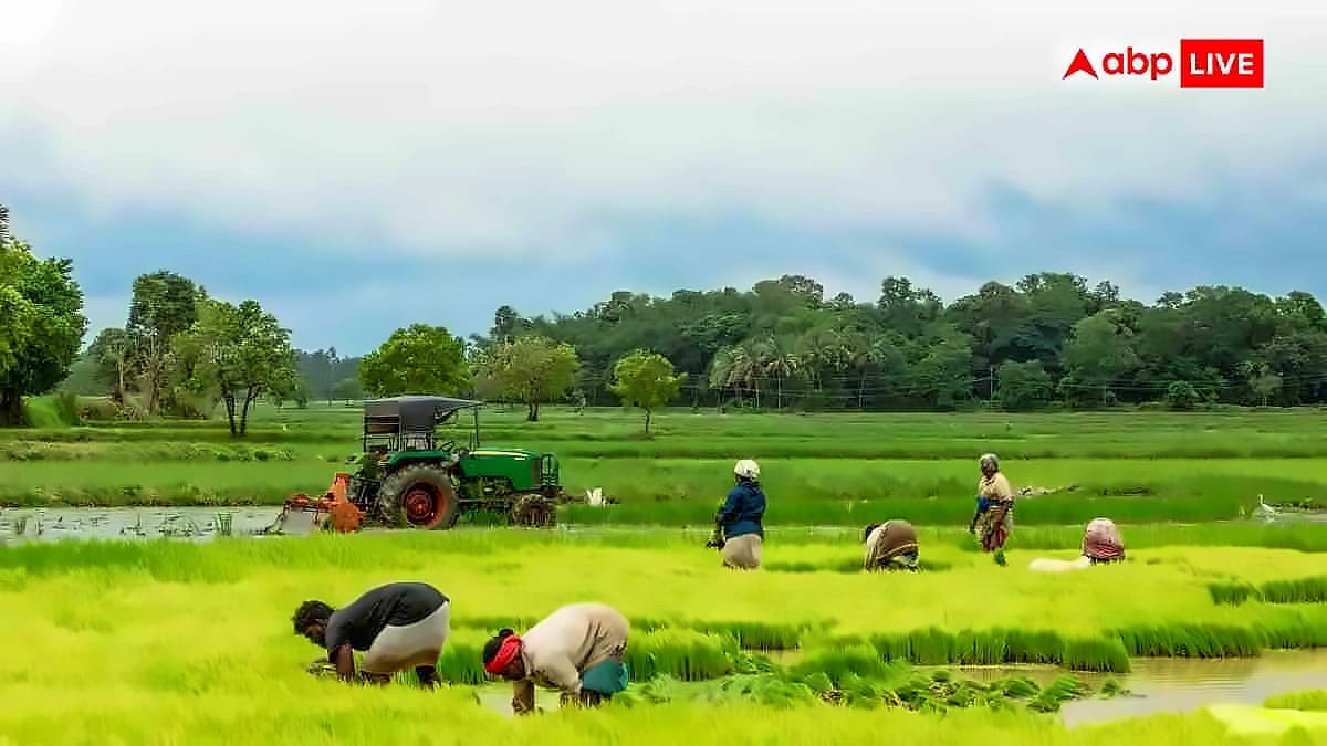 PM-KISAN 23rd Instalment Set for June 20, ₹2,000 for 9-10 Crore Farmers