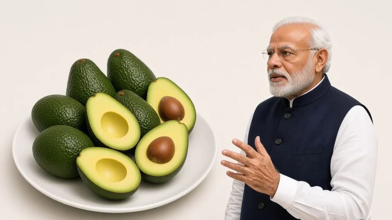 PM Modi Praises Farmers for Avocado-Coffee Intercropping Innovation